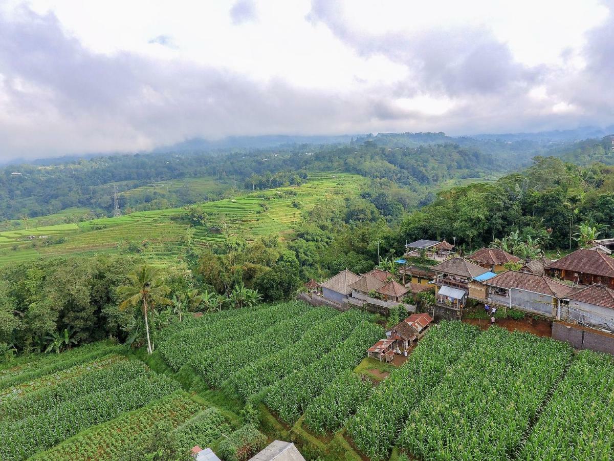 Pondok Nyoman Bedugul By Agata Exteriér fotografie